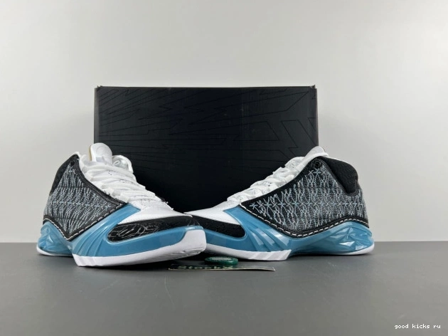 Jordan 23 318376-041 UNC 0823